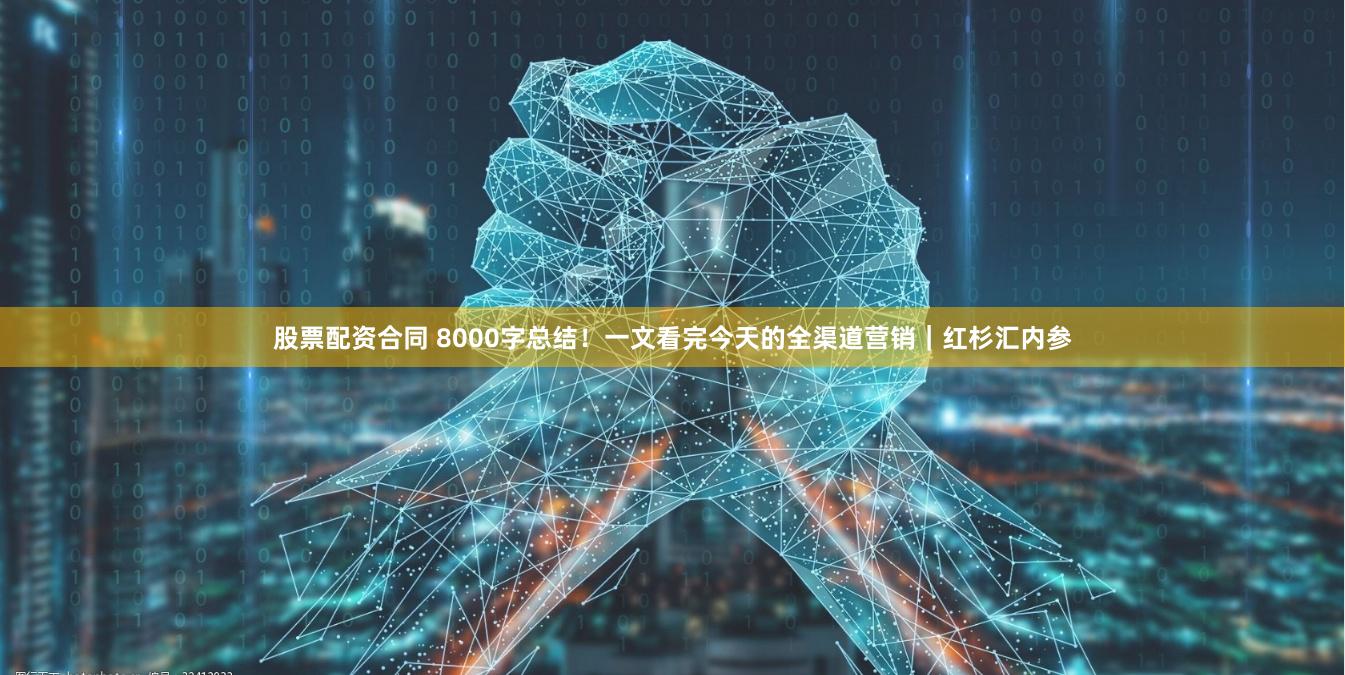 股票配资合同 8000字总结！一文看完今天的全渠道营销｜红杉汇内参