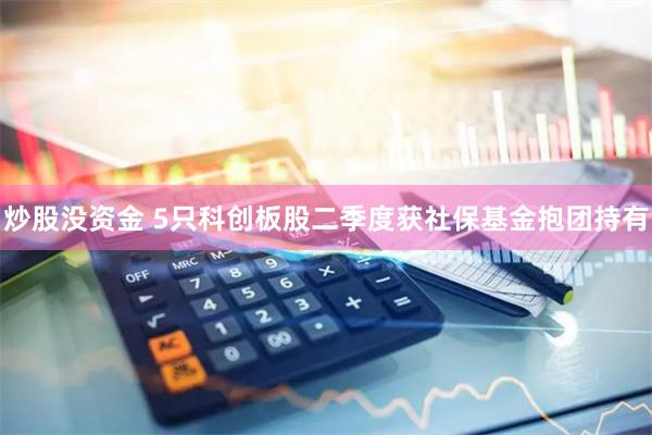 炒股没资金 5只科创板股二季度获社保基金抱团持有