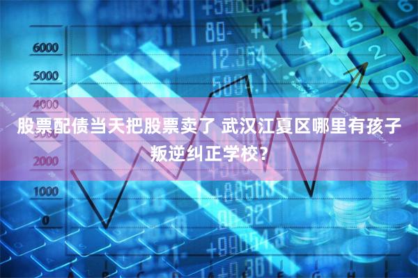 股票配债当天把股票卖了 武汉江夏区哪里有孩子叛逆纠正学校？