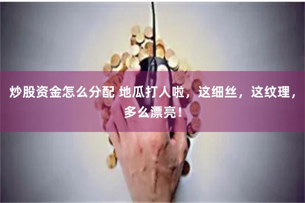 炒股资金怎么分配 地瓜打人啦，这细丝，这纹理，多么漂亮！